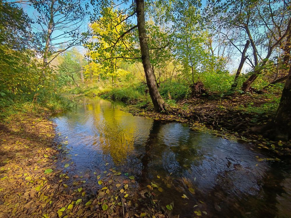 Photograph by Светлана Кондрашова