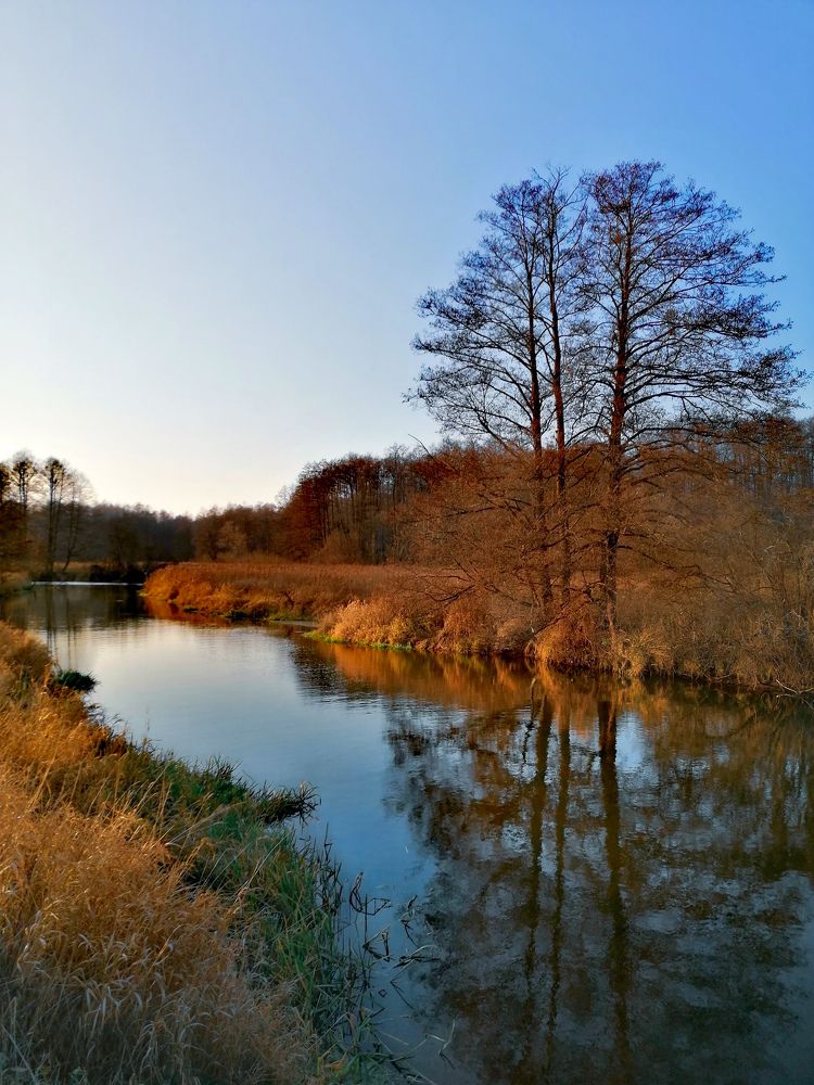 Photograph by Михаил Бородкин