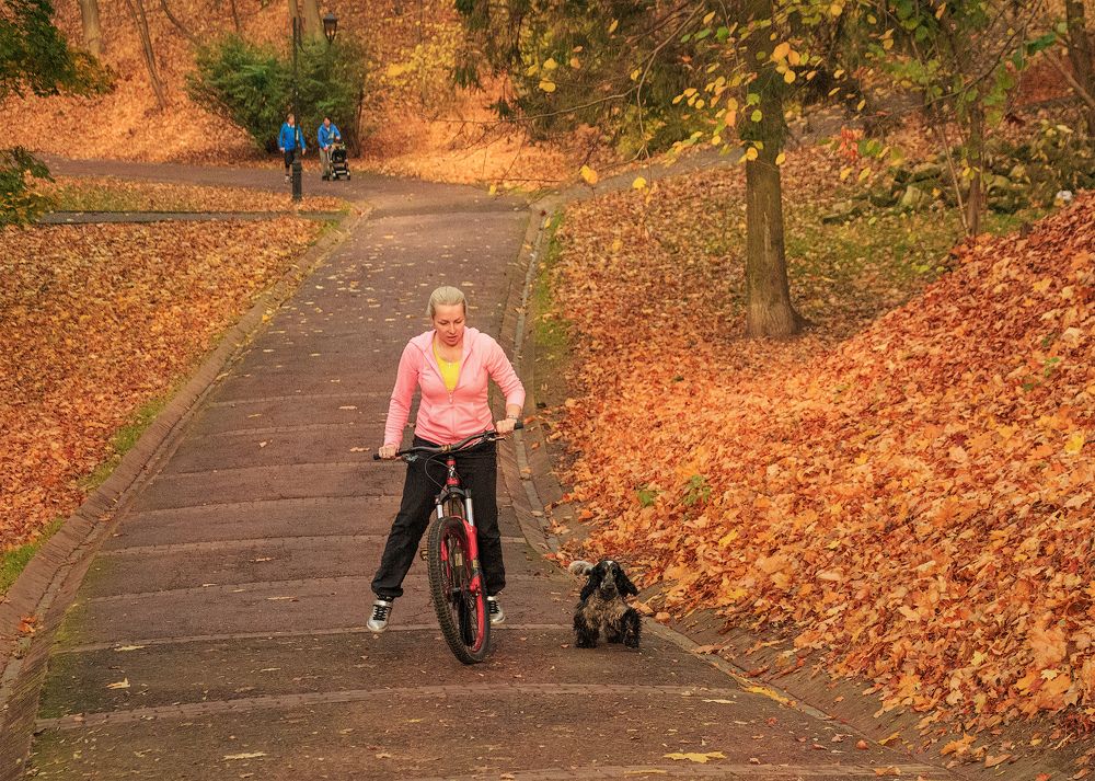 Наперегонки!