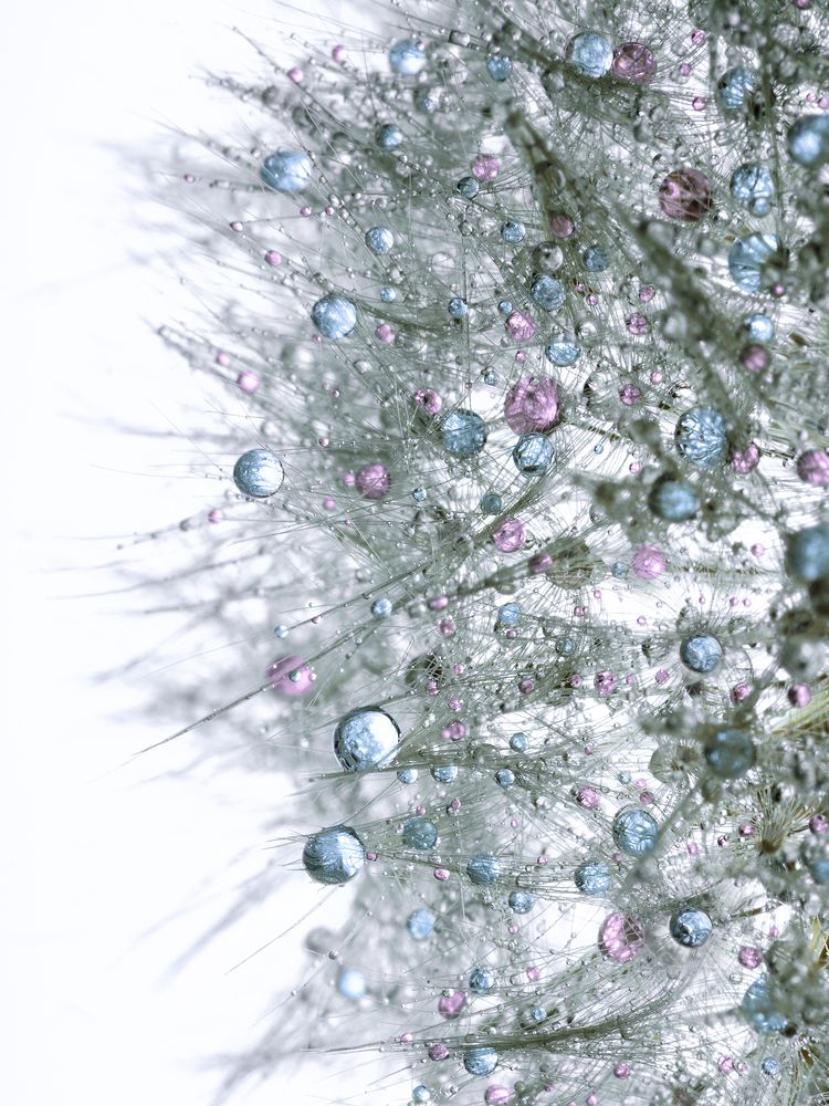 Фотография автора ЯR Ольга