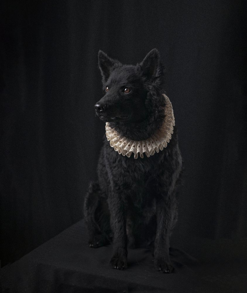 Photograph by Ященко Анастасия