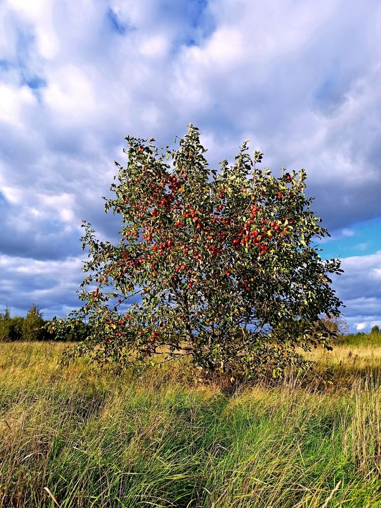 Photograph by AndreY SivkoV