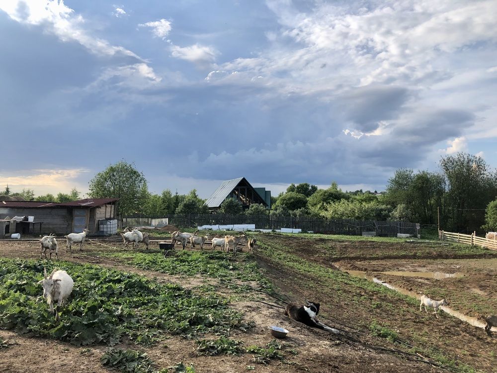 Photograph by Дмитрий