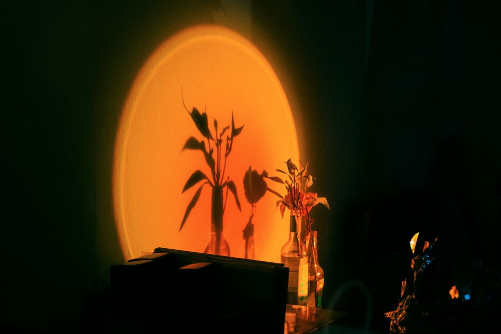 Photograph by Николай Семенов