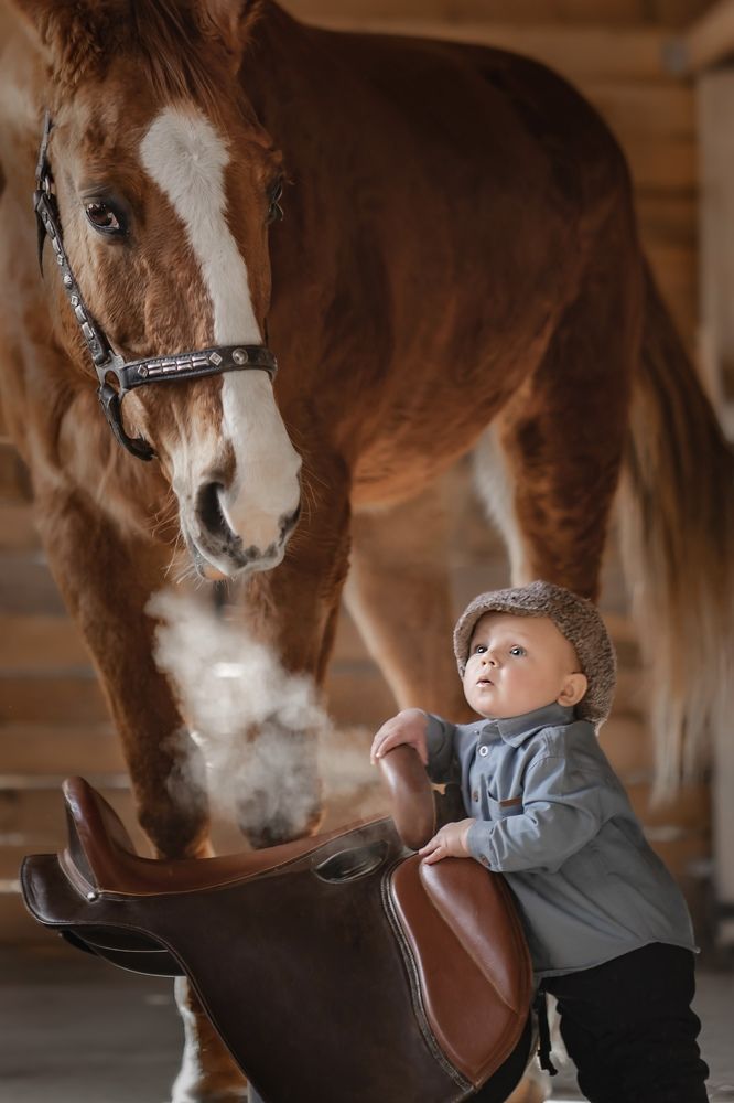 Photograph by ольга алашинова