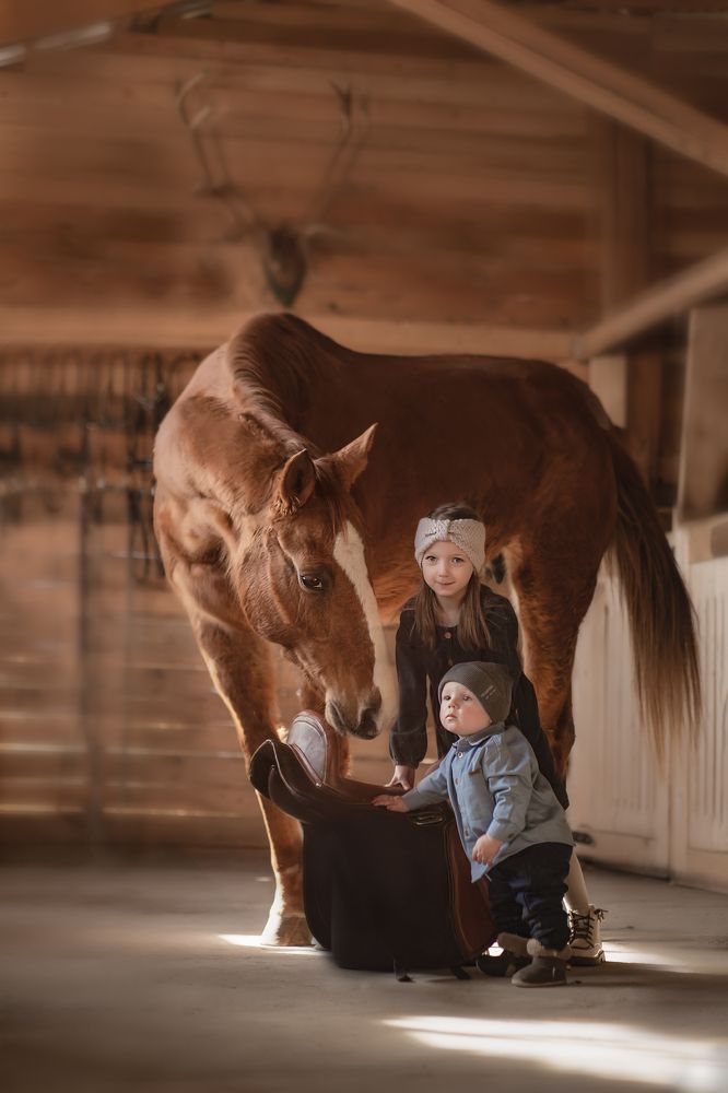 Photograph by ольга алашинова