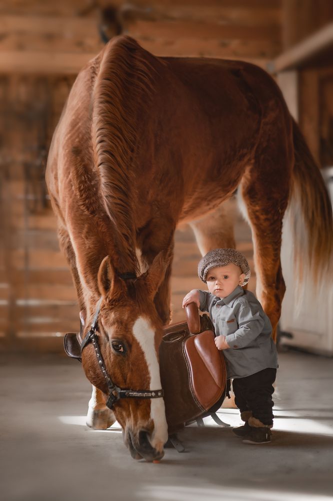 Photograph by ольга алашинова