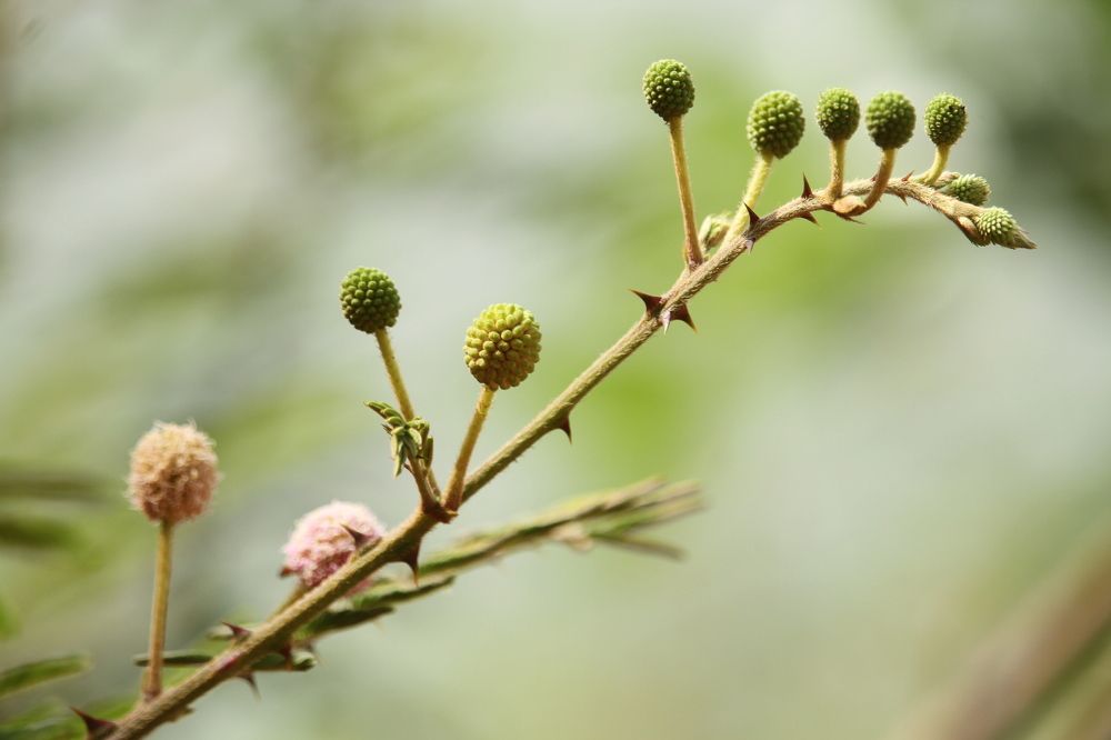 Photograph by Marcel AHONDO