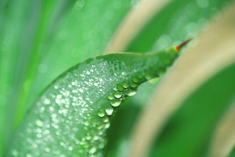 Photograph by Marcel AHONDO