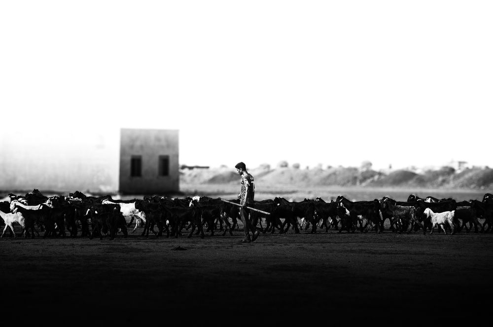 Photograph by Ibrahim Algali Ibrahim