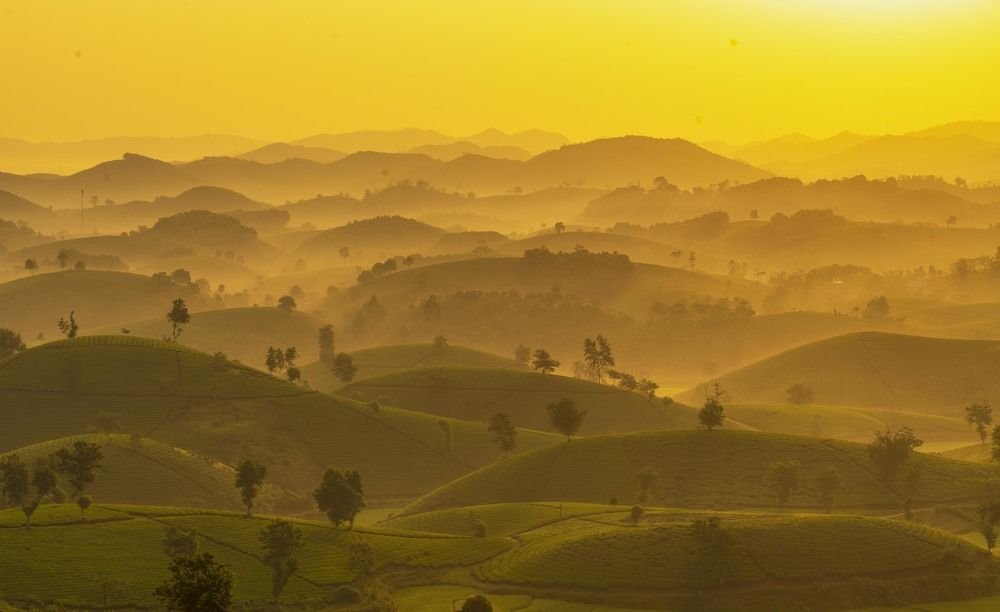 Photograph by Nguyen Thi Kim Thinh