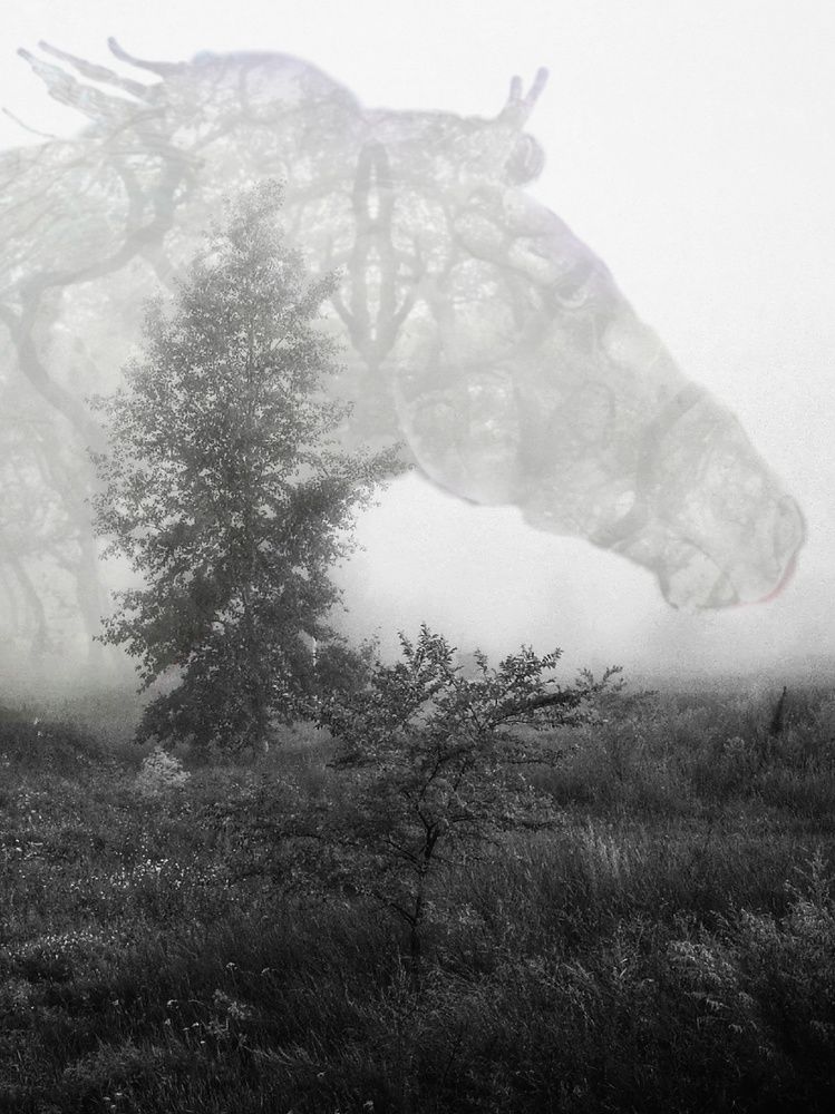 Photograph by Ирина Алпацкая