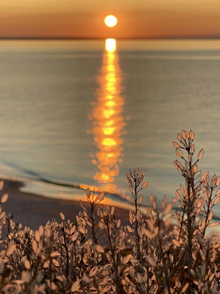 Photograph by Ирина Коваль