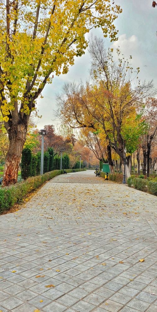 Photograph by Makina Amiri