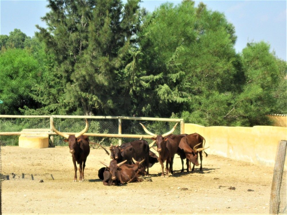 Photograph by Галина