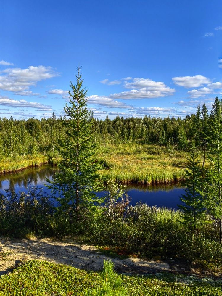 Photograph by Юлия Арестова