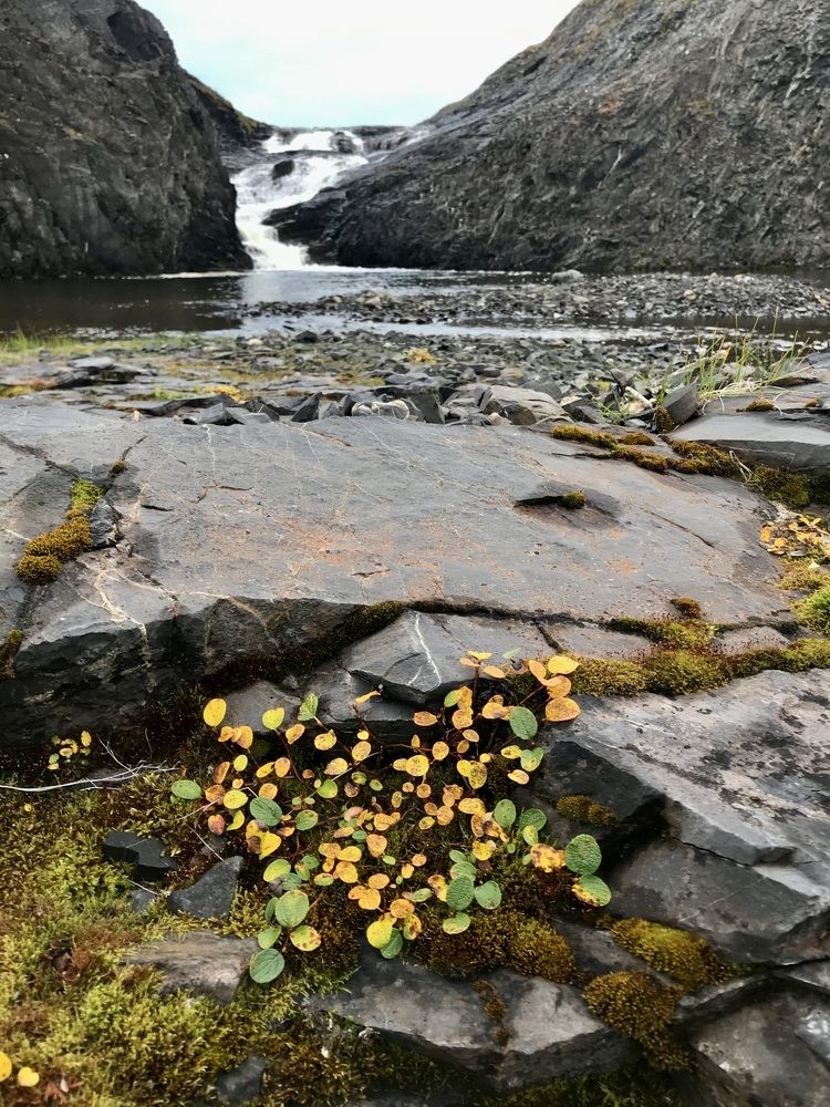 Photograph by Ирина Коваль