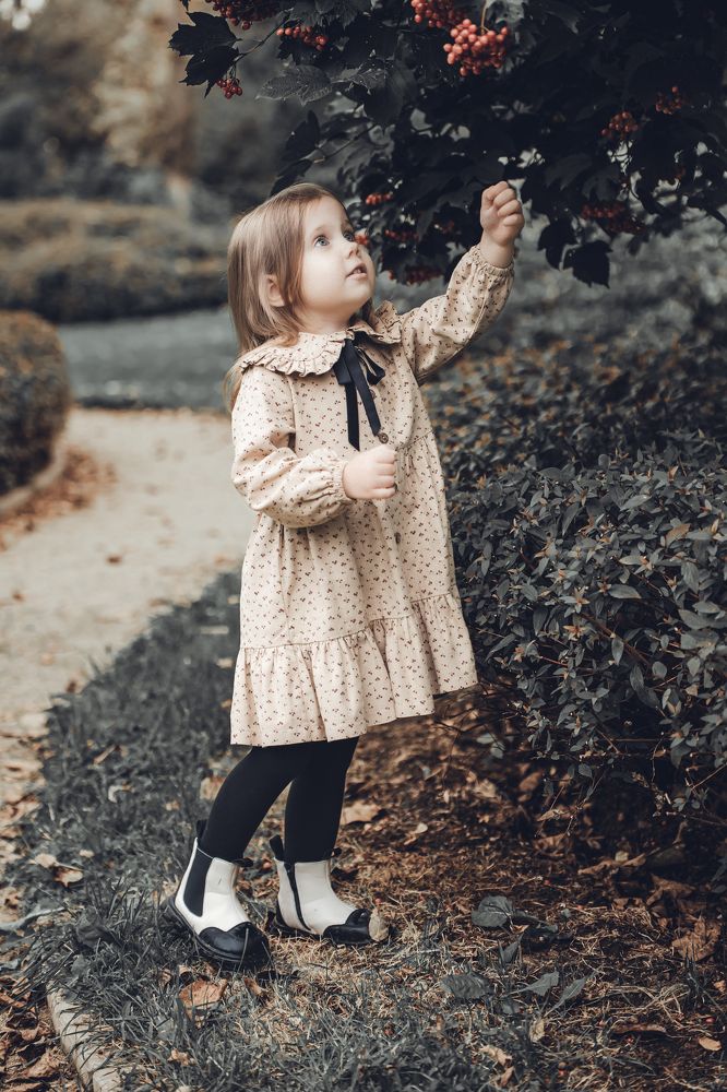 Фотография автора Артур Петросян