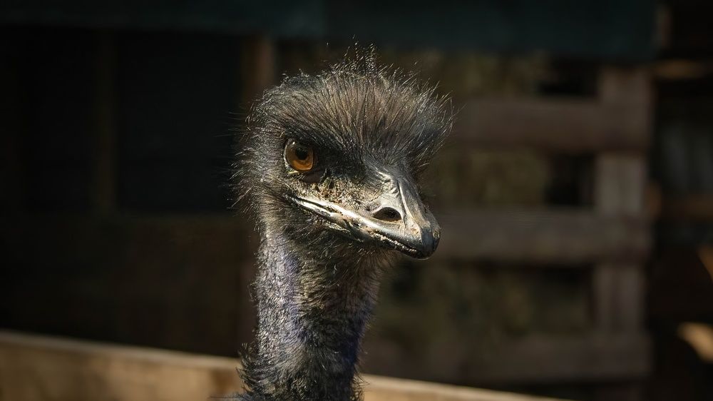 Photograph by Игорь Иванов