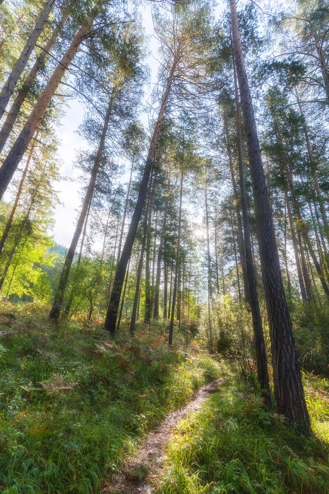 Photograph by Руслан Нигматуллин