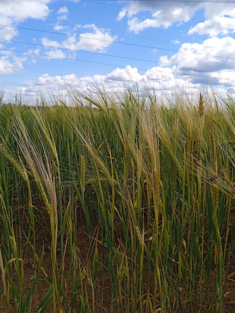 Photograph by Анна