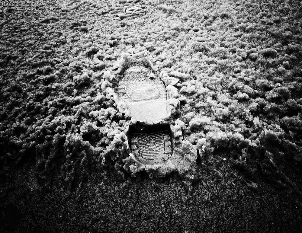 Photograph by Алексей Худяков