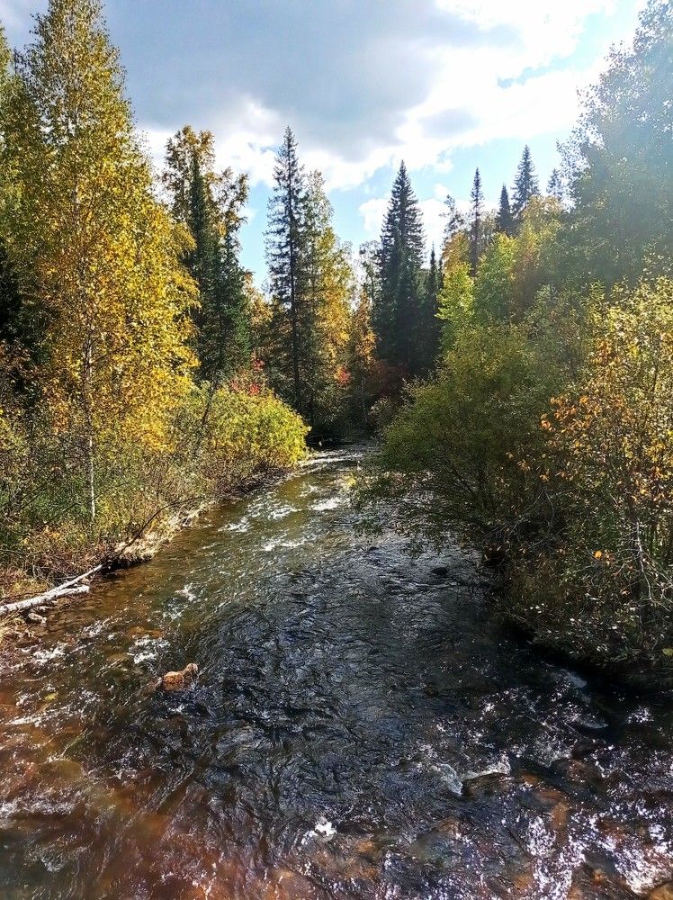 Photograph by Ирина Орлова