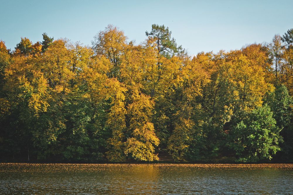 Photograph by Елена Щитова