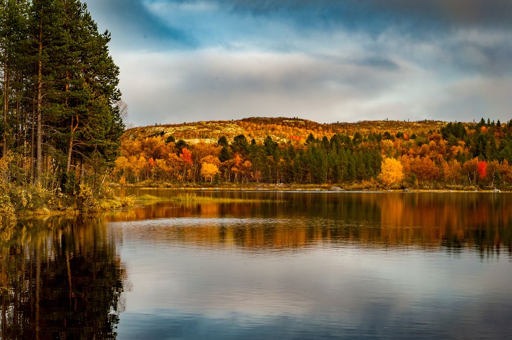 Photograph by Сергей Тютюнник