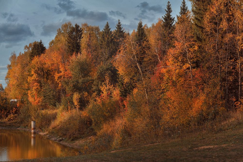 Photograph by Лысенкова Аксинья