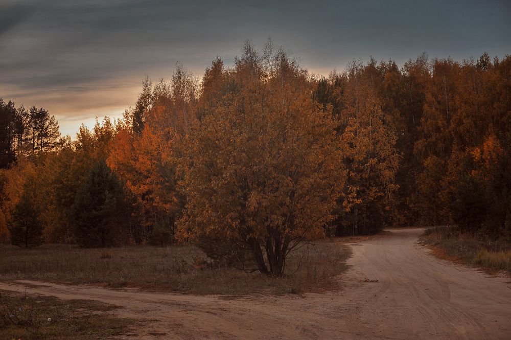 Photograph by Лысенкова Аксинья