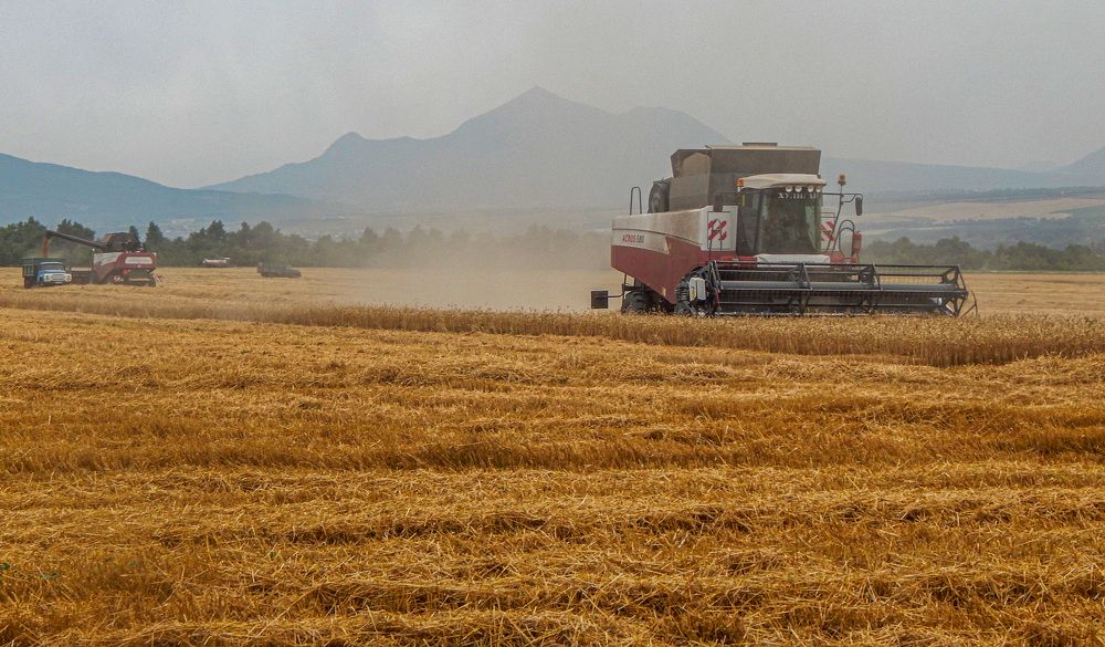 Photograph by Савчук Сергей