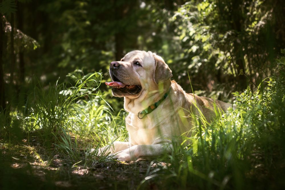 Photograph by Соколова Елена