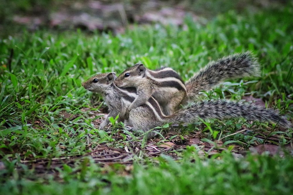 Photograph by Washiful Majid