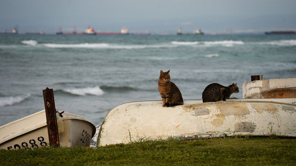 Photograph by Aleksandr Kolonsky