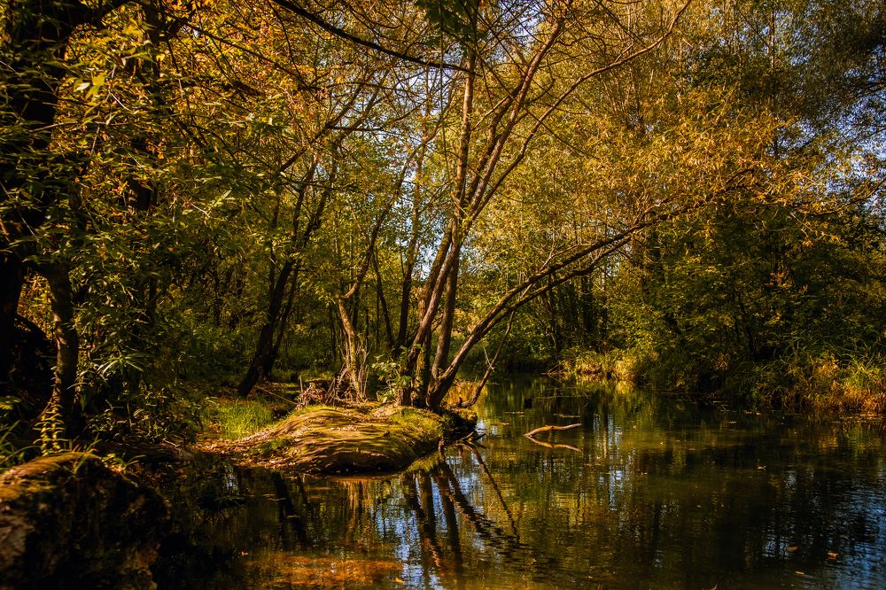 Photograph by Татьяна Лебедева