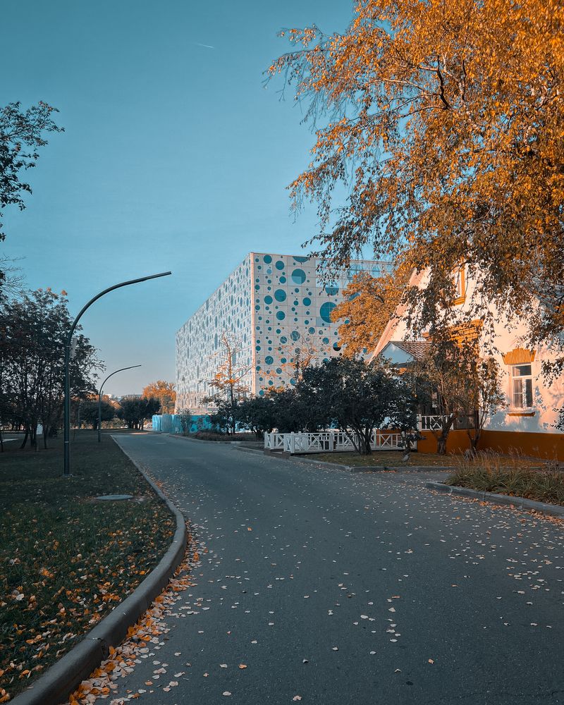 Photograph by Tatiana Grinko