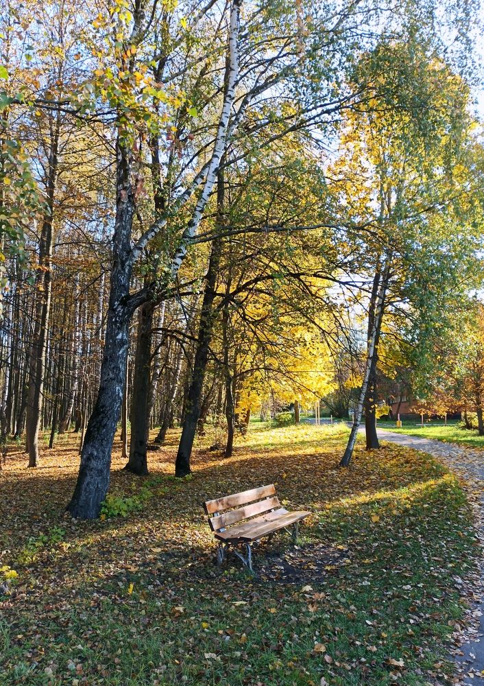 Photograph by Елена Должикова