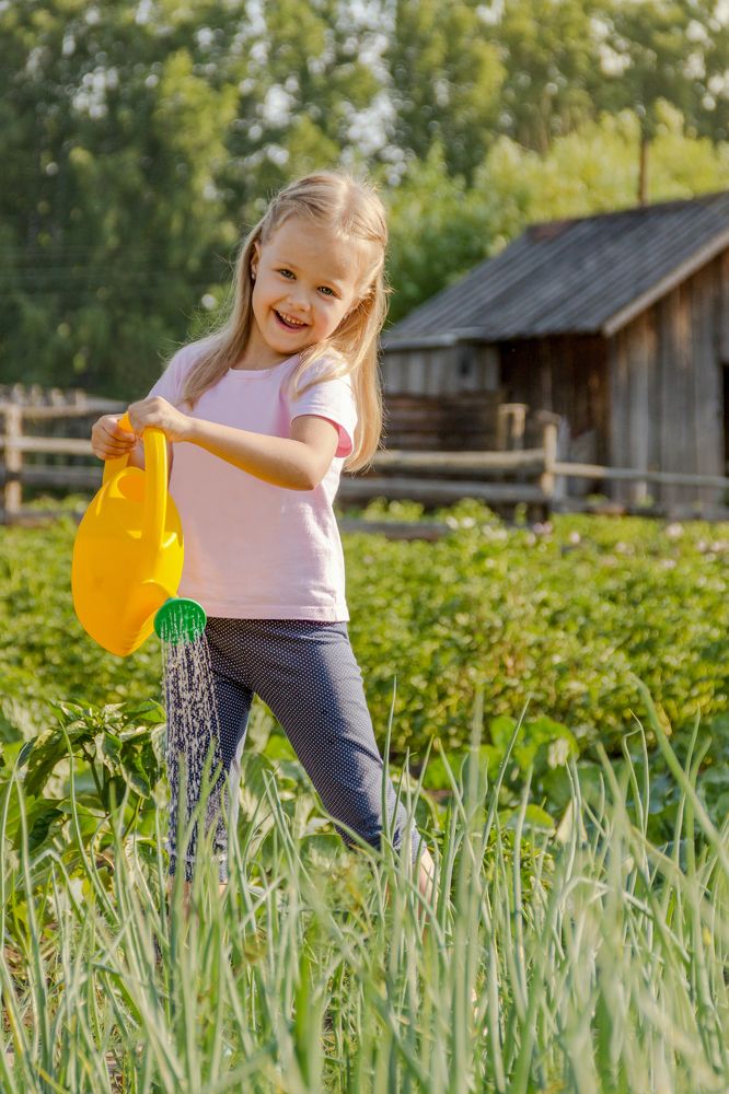 Огородница