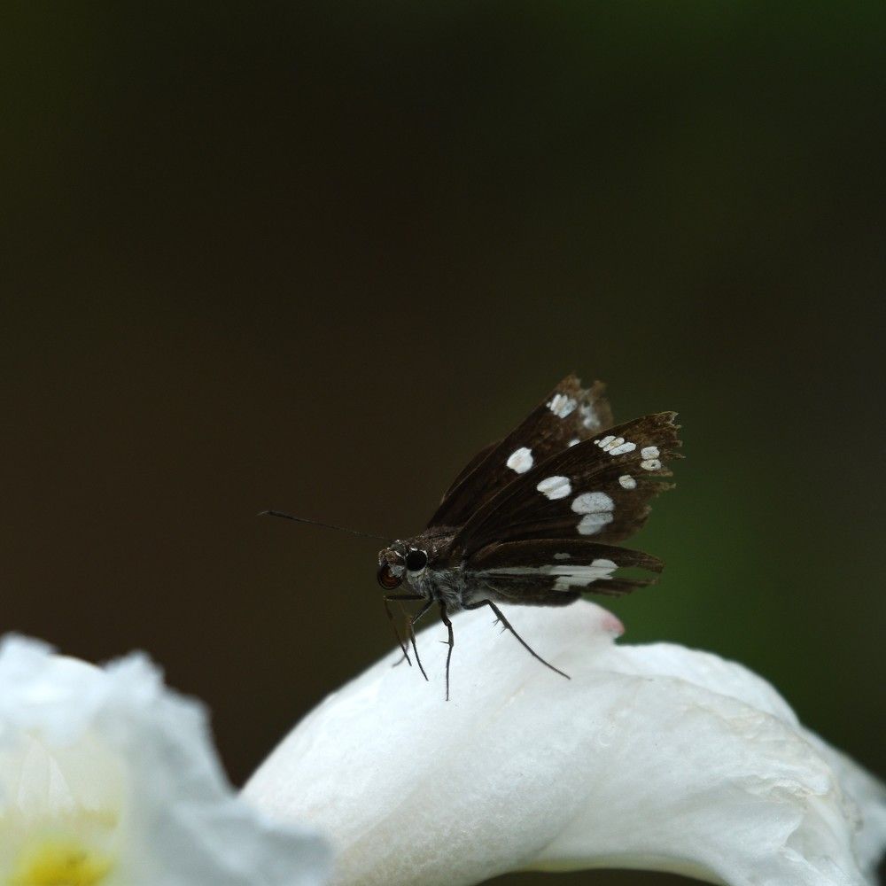 Photograph by Preet saluja