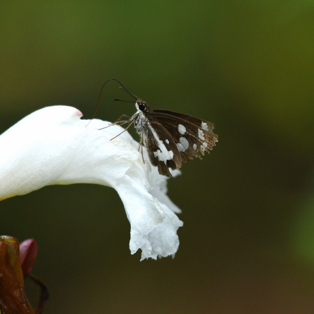 Photograph by Preet saluja