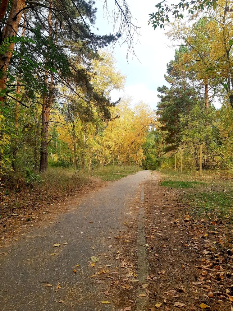 Photograph by Olga Александрова