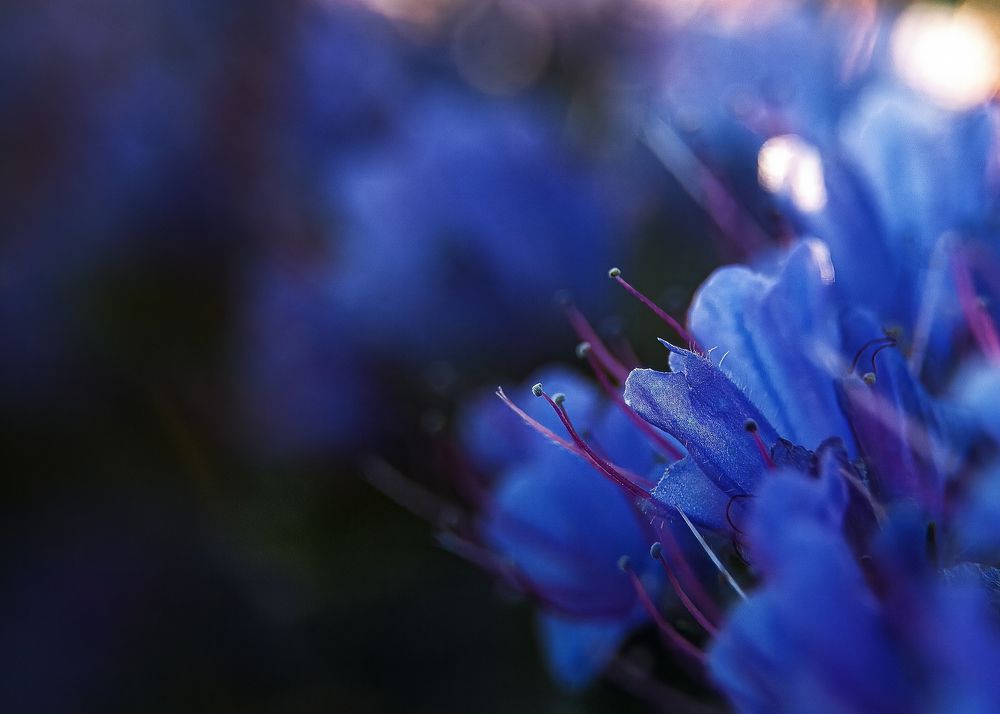 Photograph by Загруев Михаил