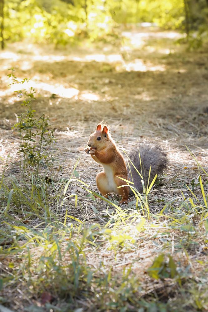 Photograph by Ирина Подгорная