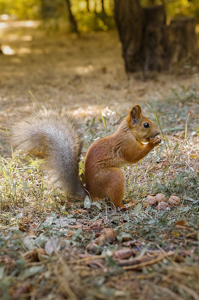 Photograph by Ирина Подгорная