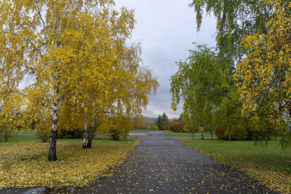 Photograph by Александр Пургин