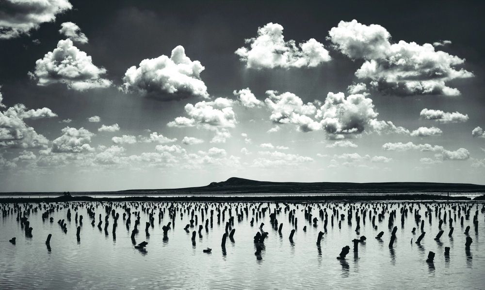 Photograph by Галчонок Фото