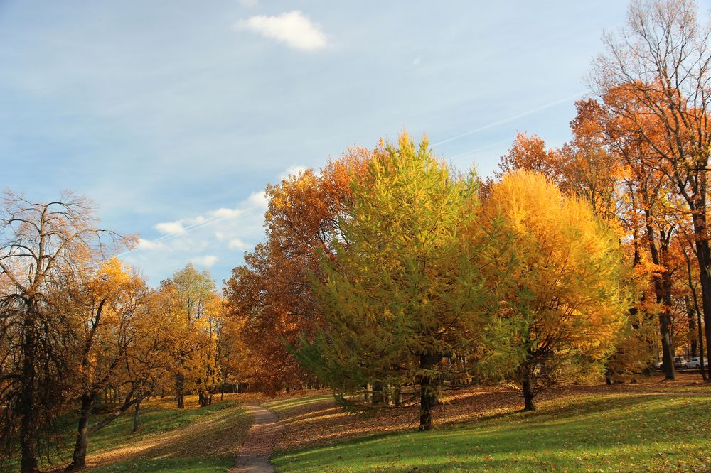 Яркая осень