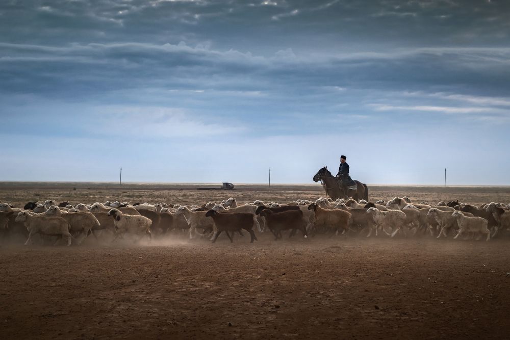 Photograph by Соколова Елена