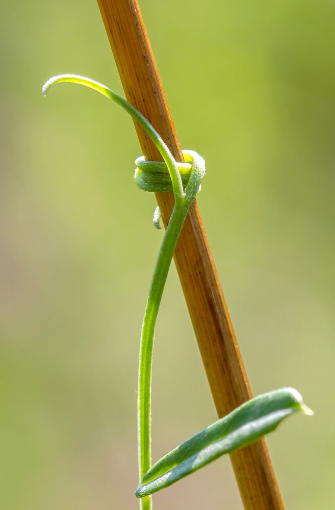 Фотография автора Andrey Pristyazhnyuk